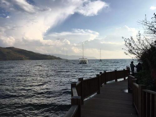 抚仙湖樱花谷风景区(抚仙湖樱花谷风景区旅游攻略)