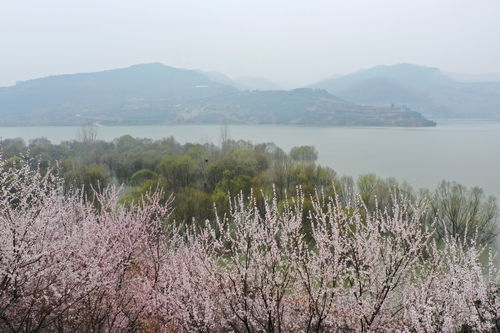 中牟县天气预报(今日中牟县天气预报)